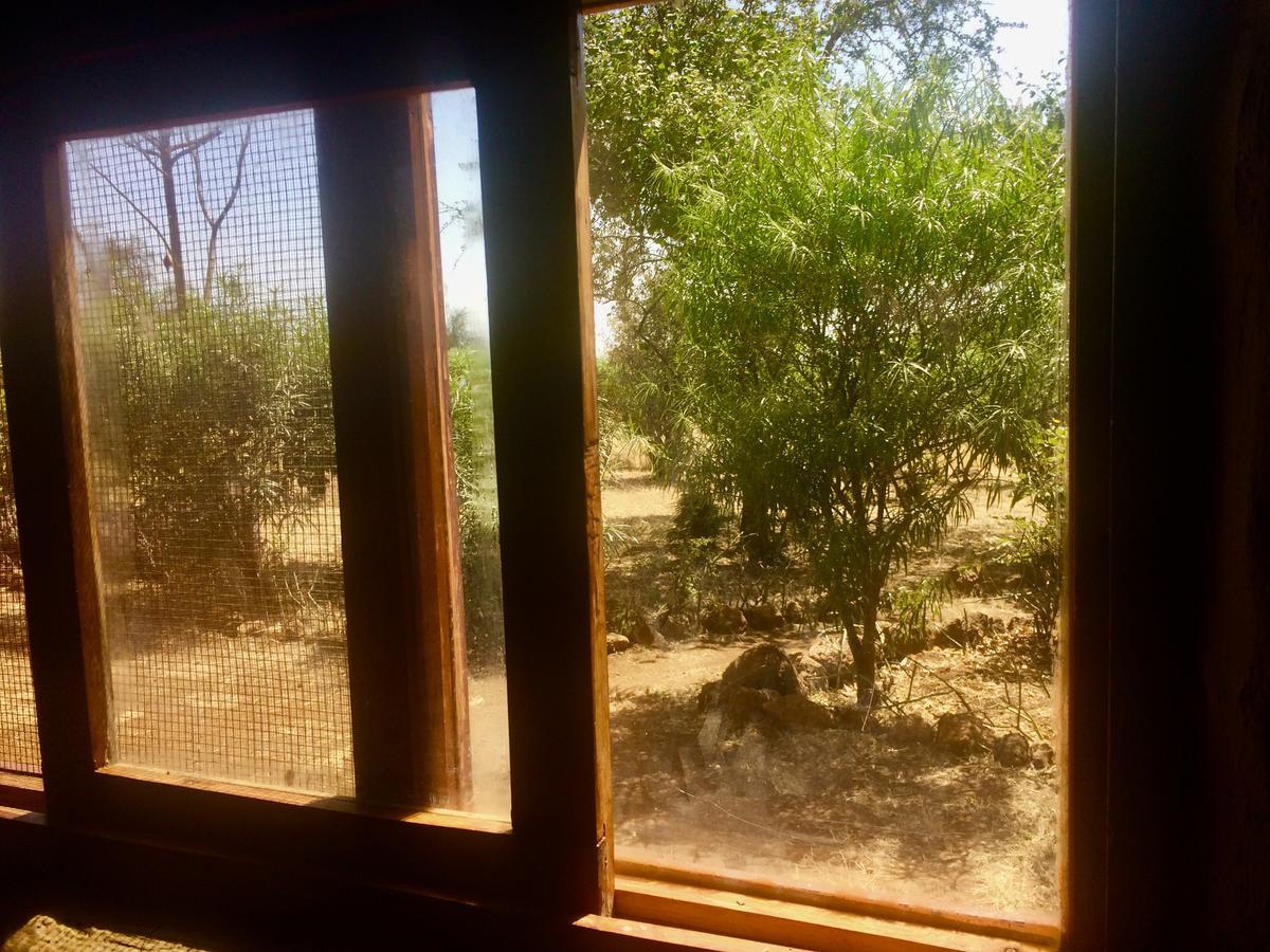 Amboseli Eco Camp别墅 外观 照片
